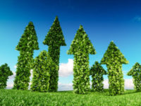 environment, environmental sustainability